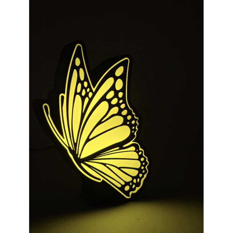 Boite à lumière papillon